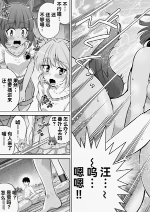 第273页图