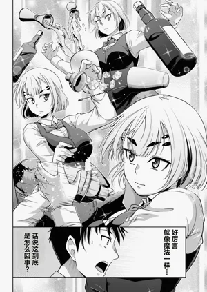 第333页图