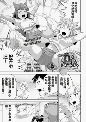 第378页图