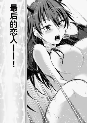 第497页图