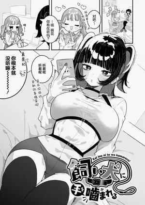 第111頁圖