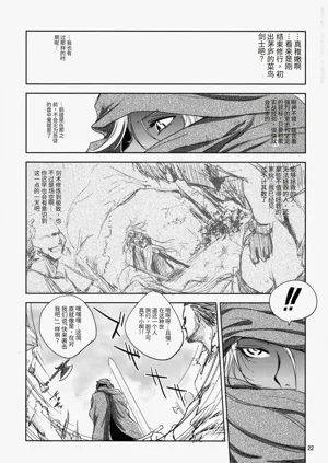 第22頁圖
