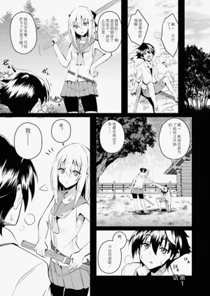 第4页图