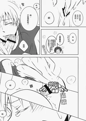 第29頁圖