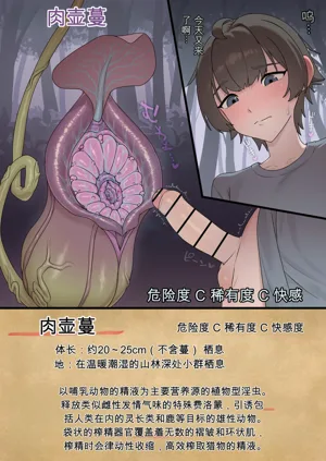 第1页图