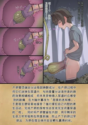 第5页图