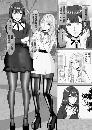 第4页图