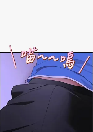 第138頁圖