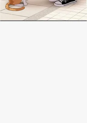 第153頁圖
