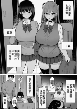 第3页图