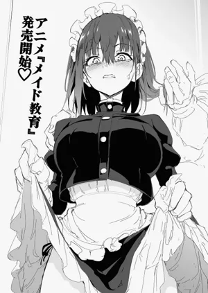 第217页图