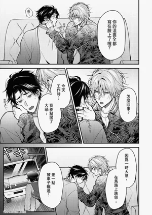 第95頁圖
