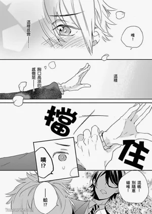 第21頁圖