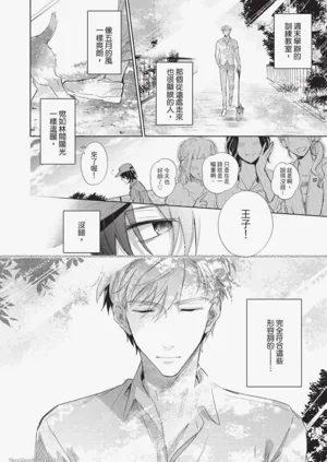 第184頁圖