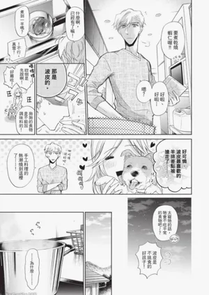 第197頁圖