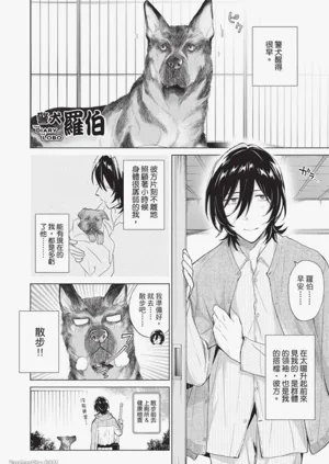 第215頁圖