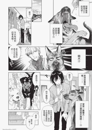 第217頁圖