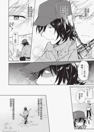 第29頁圖