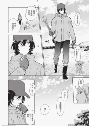 第31頁圖