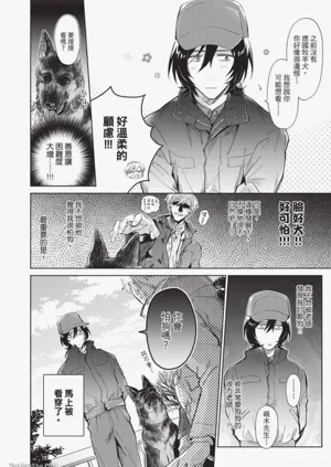 第41頁圖