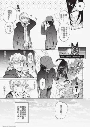 第44頁圖