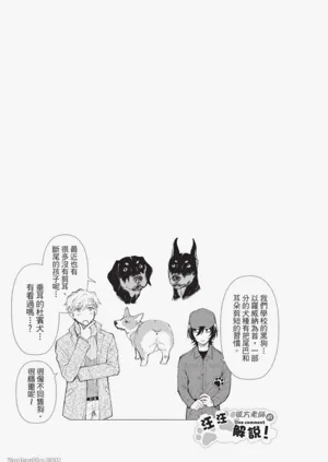 第91頁圖