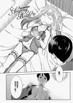 第48頁圖