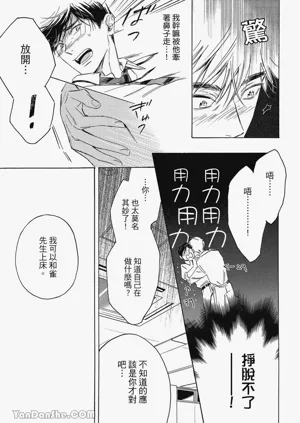 第31頁圖