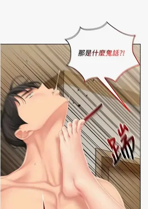 第100頁圖