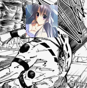 第46頁圖