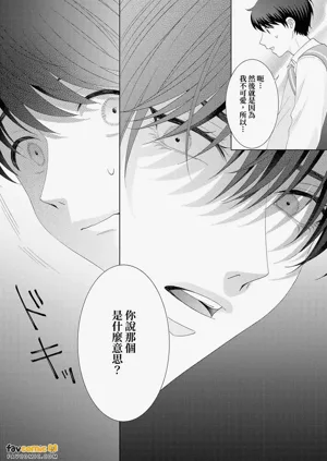 第81頁圖
