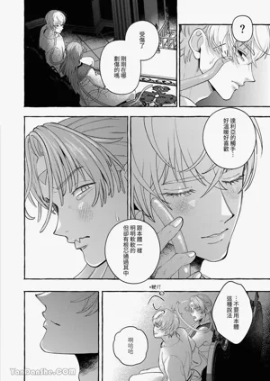 第29頁圖