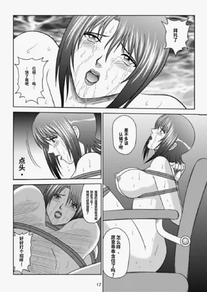 第17页图
