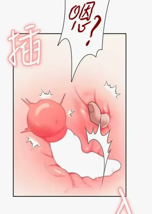 第42頁圖