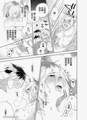 第120頁圖