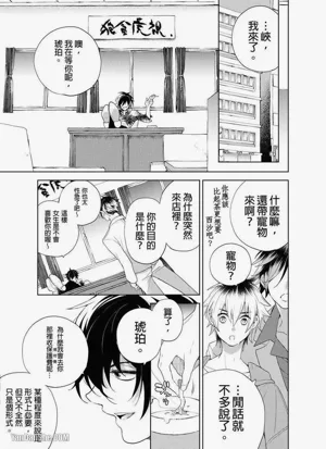 第91頁圖