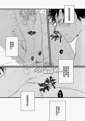 第22页图