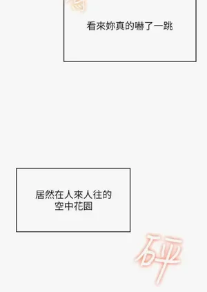 第51頁圖