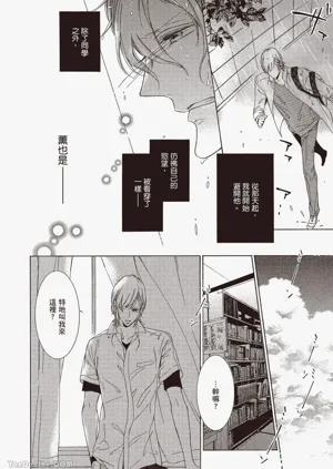 第17页图