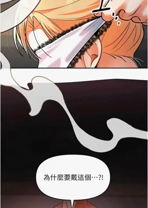 第164頁圖