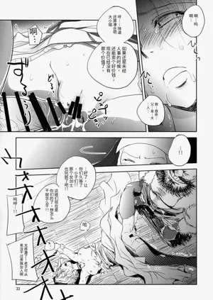 第33页图