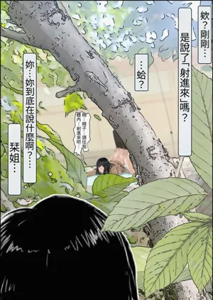 第41頁圖