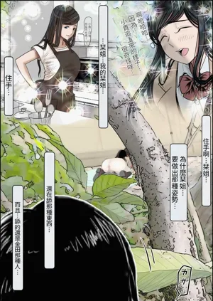 第44頁圖