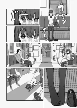 第3页图