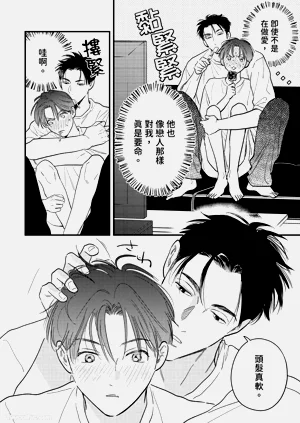 第199頁圖