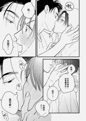 第204頁圖