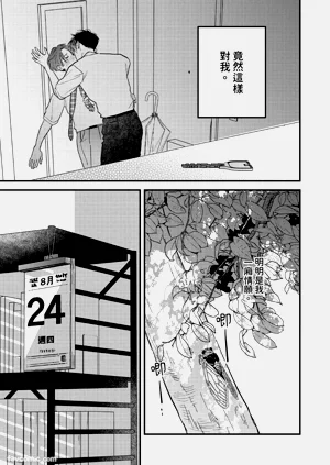 第206頁圖