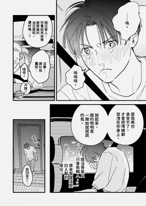 第219頁圖