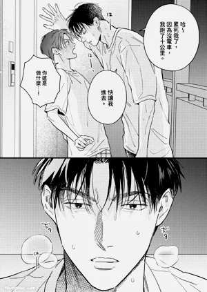 第223頁圖