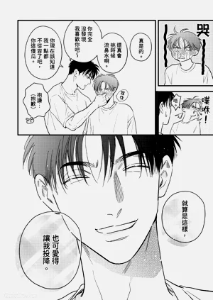 第231頁圖